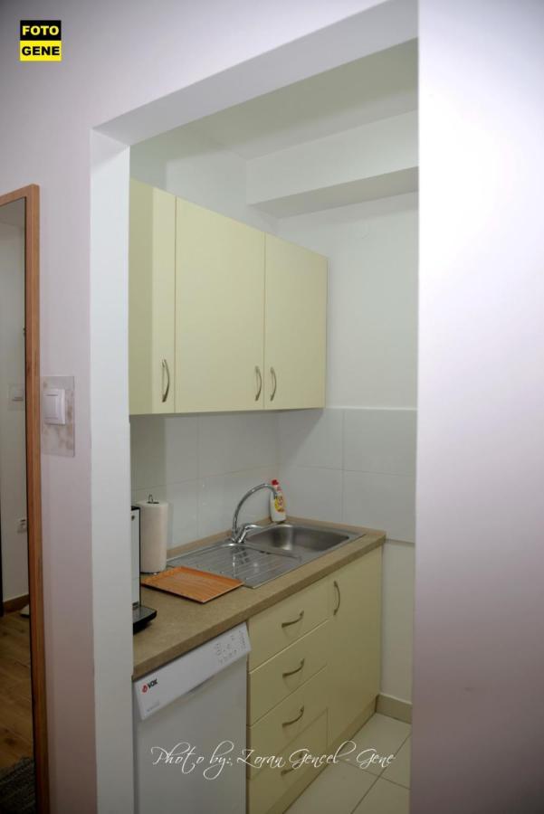 Apartment No 11 Subotica Dış mekan fotoğraf